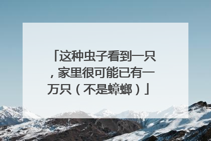 这种虫子看到一只，家里很可能已有一万只（不是蟑螂）