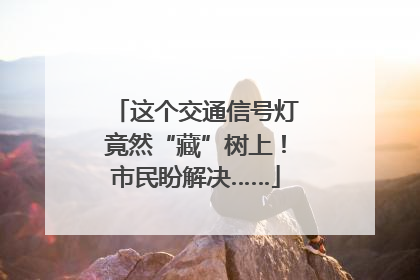 这个交通信号灯竟然“藏”树上！市民盼解决……