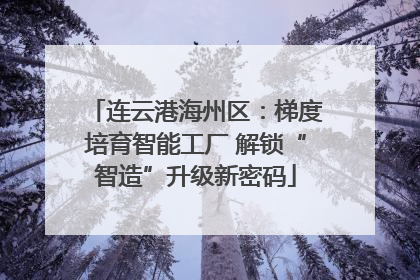 连云港海州区：梯度培育智能工厂 解锁“智造”升级新密码