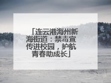 连云港海州新海街道：禁毒宣传进校园，护航青春助成长