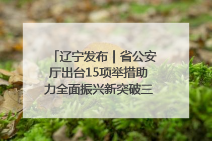 辽宁发布｜省公安厅出台15项举措助力全面振兴新突破三年行动决胜之战