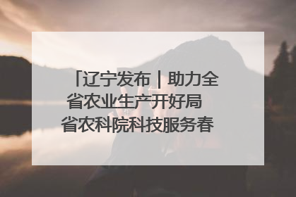 辽宁发布｜助力全省农业生产开好局 省农科院科技服务春耕备耕成效显著