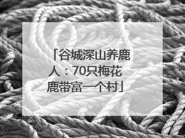 谷城深山养鹿人：70只梅花鹿带富一个村