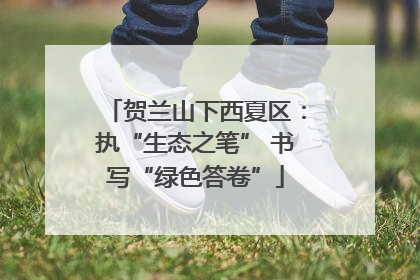 贺兰山下西夏区：执“生态之笔” 书写“绿色答卷”