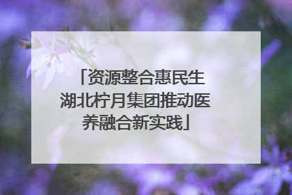 资源整合惠民生 湖北柠月集团推动医养融合新实践