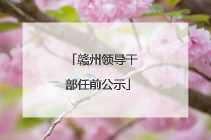 赣州领导干部任前公示