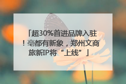 超30%首进品牌入驻！亳都有新象，郑州文商旅新IP将“上线”