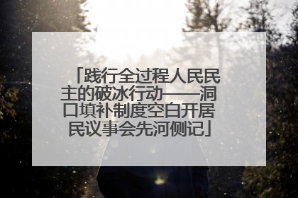 践行全过程人民民主的破冰行动——洞口填补制度空白开居民议事会先河侧记