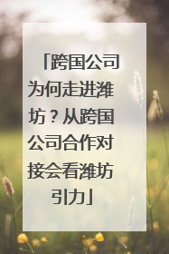 跨国公司为何走进潍坊？从跨国公司合作对接会看潍坊引力