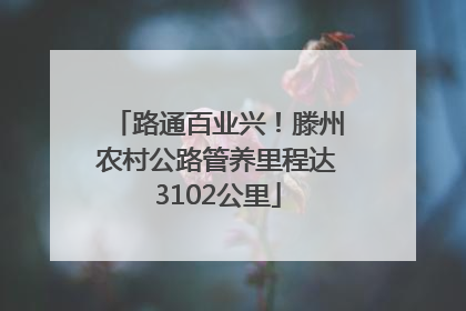 路通百业兴！滕州农村公路管养里程达3102公里