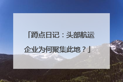 蹲点日记：头部航运企业为何聚集此地？