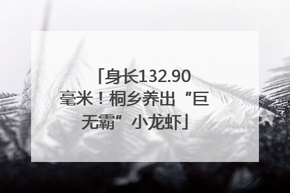 身长132.90毫米！桐乡养出“巨无霸”小龙虾