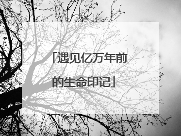 遇见亿万年前的生命印记