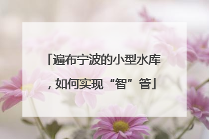 遍布宁波的小型水库，如何实现“智”管