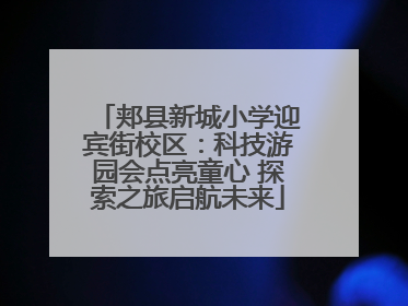 郏县新城小学迎宾街校区：科技游园会点亮童心 探索之旅启航未来