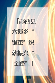 郧西县六郎乡“银茧”织就振兴“金路”