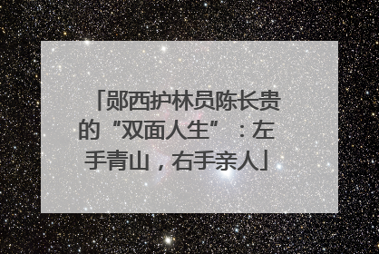 郧西护林员陈长贵的“双面人生”：左手青山，右手亲人