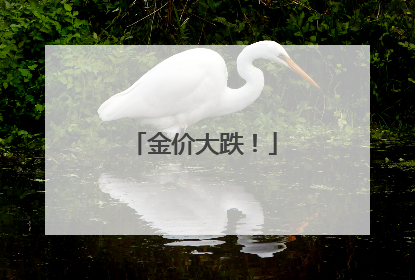 金价大跌！