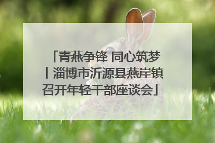 青燕争锋 同心筑梦丨淄博市沂源县燕崖镇召开年轻干部座谈会