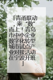青甬联动，乘“数”而上！青岛市中小企业数字化转型城市试点产业对接活动在宁波开班