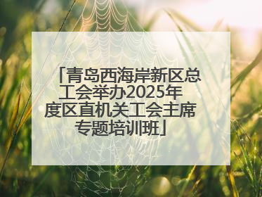 青岛西海岸新区总工会举办2025年度区直机关工会主席专题培训班
