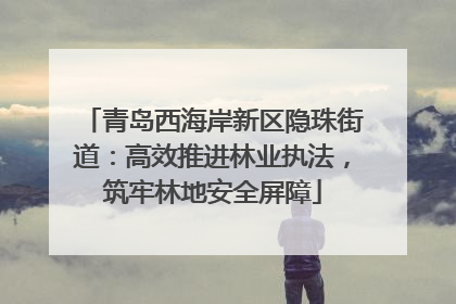 青岛西海岸新区隐珠街道：高效推进林业执法，筑牢林地安全屏障