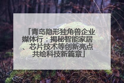 青岛隐形独角兽企业媒体行：揭秘智能家居、芯片技术等创新亮点 共绘科技新篇章