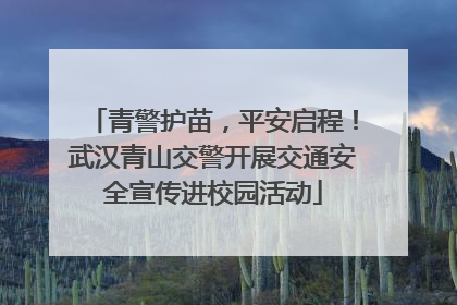 青警护苗，平安启程！武汉青山交警开展交通安全宣传进校园活动