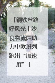 钢铁丝路好风光丨沙良物流园助力中欧班列跑出“加速度”