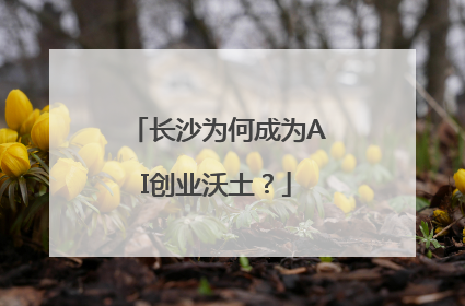 长沙为何成为AI创业沃土？