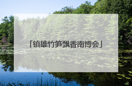 镇雄竹笋飘香南博会
