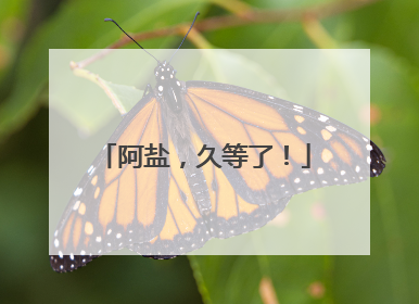 阿盐，久等了！