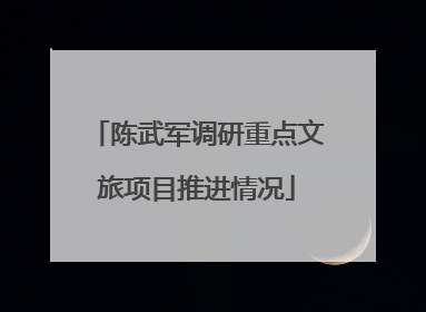 陈武军调研重点文旅项目推进情况