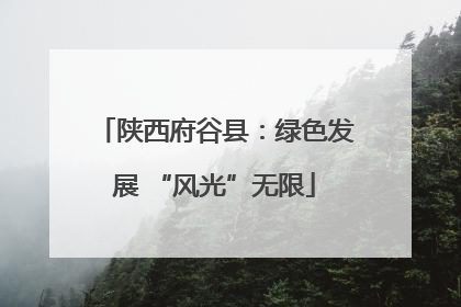 陕西府谷县：绿色发展 “风光”无限