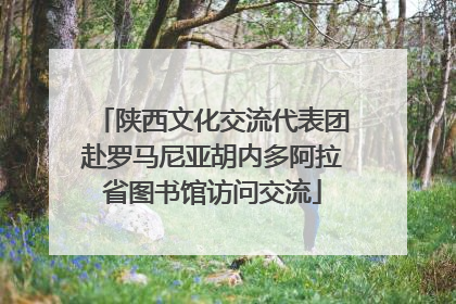 陕西文化交流代表团赴罗马尼亚胡内多阿拉省图书馆访问交流