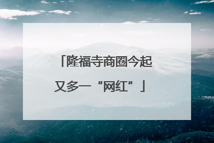 隆福寺商圈今起又多一“网红”