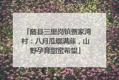 随县三里岗镇贾家湾村：八月瓜缀满藤，山野孕育甜蜜希望