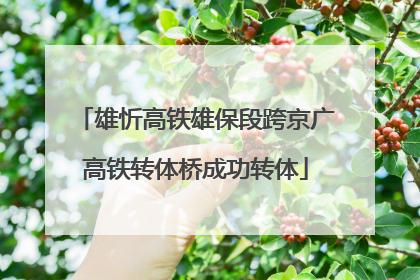 雄忻高铁雄保段跨京广高铁转体桥成功转体