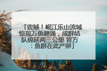 震撼！岷江乐山流域惊现万鱼翻涌，成群结队绵延两三公里 官方：鱼群在此产卵