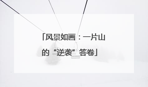 风景如画：一片山的“逆袭”答卷