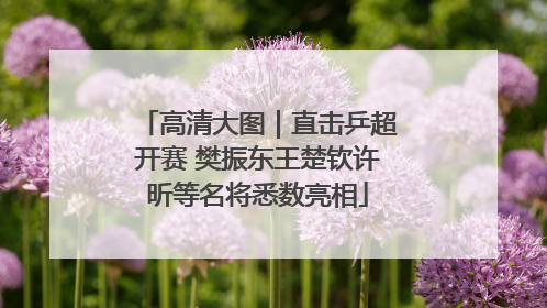 高清大图｜直击乒超开赛 樊振东王楚钦许昕等名将悉数亮相
