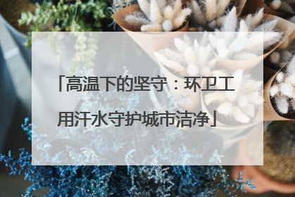 高温下的坚守：环卫工用汗水守护城市洁净