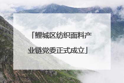 鲤城区纺织面料产业链党委正式成立