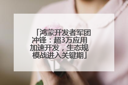 鸿蒙开发者军团冲锋：超3万应用加速开发，生态规模战进入关键期