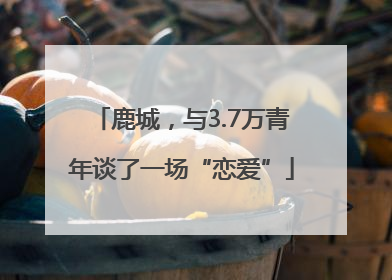 鹿城，与3.7万青年谈了一场“恋爱”