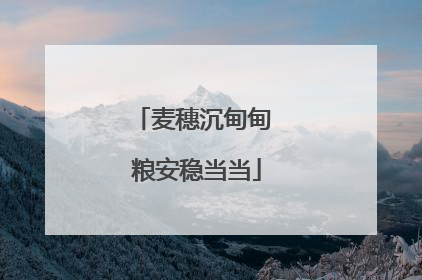 麦穗沉甸甸 粮安稳当当