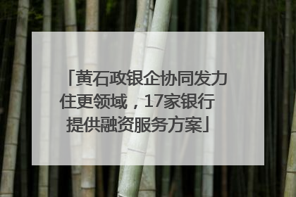 黄石政银企协同发力住更领域，17家银行提供融资服务方案