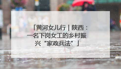 黄河女儿行｜陕西：一名下岗女工的乡村振兴“家政兵法”