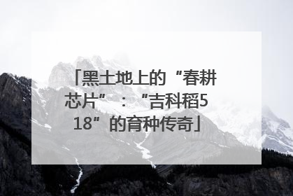 黑土地上的“春耕芯片”：“吉科稻518”的育种传奇