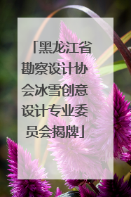 黑龙江省勘察设计协会冰雪创意设计专业委员会揭牌